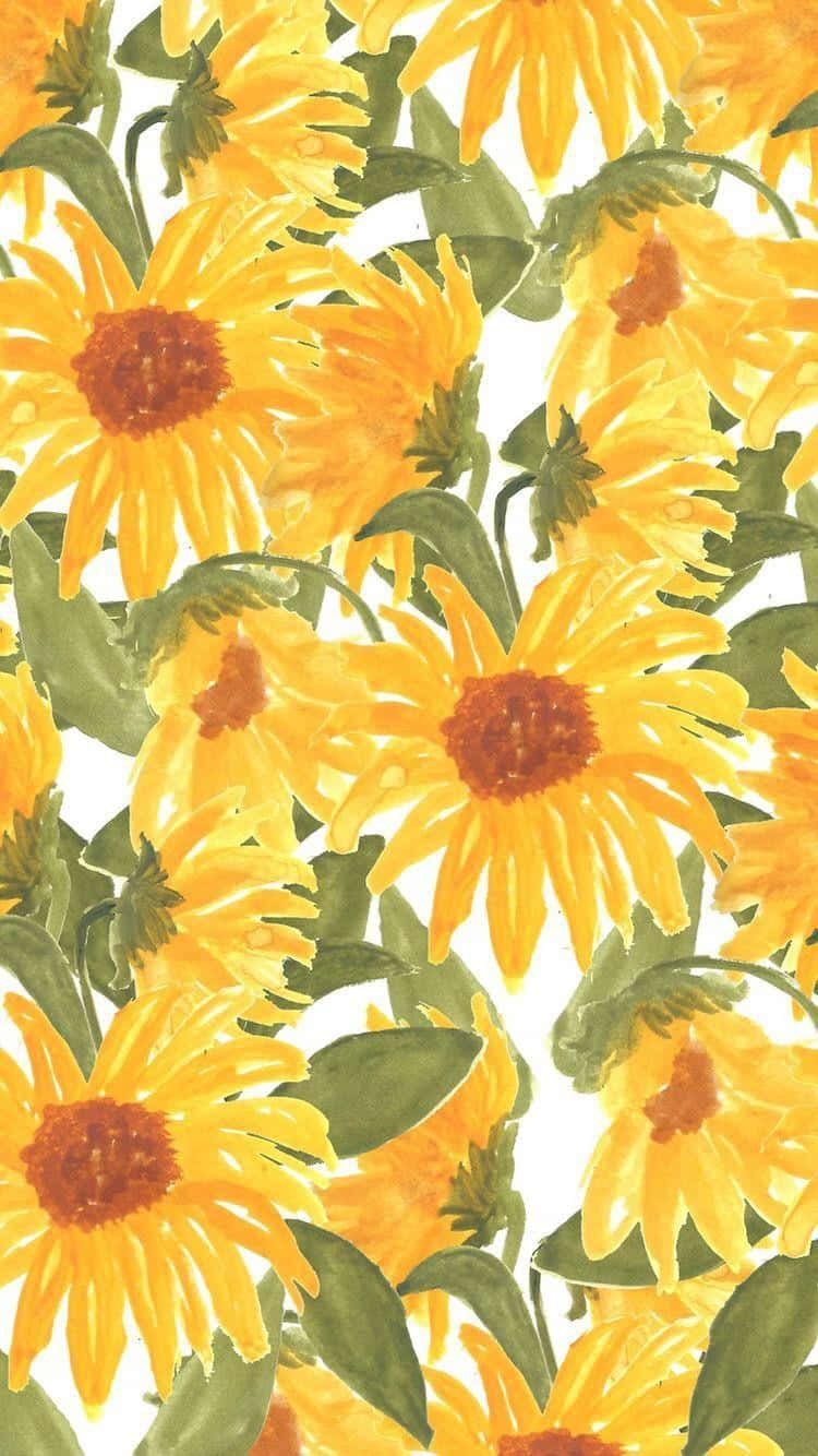 Bright Sunflower To Illuminate Your Day Wallpaper