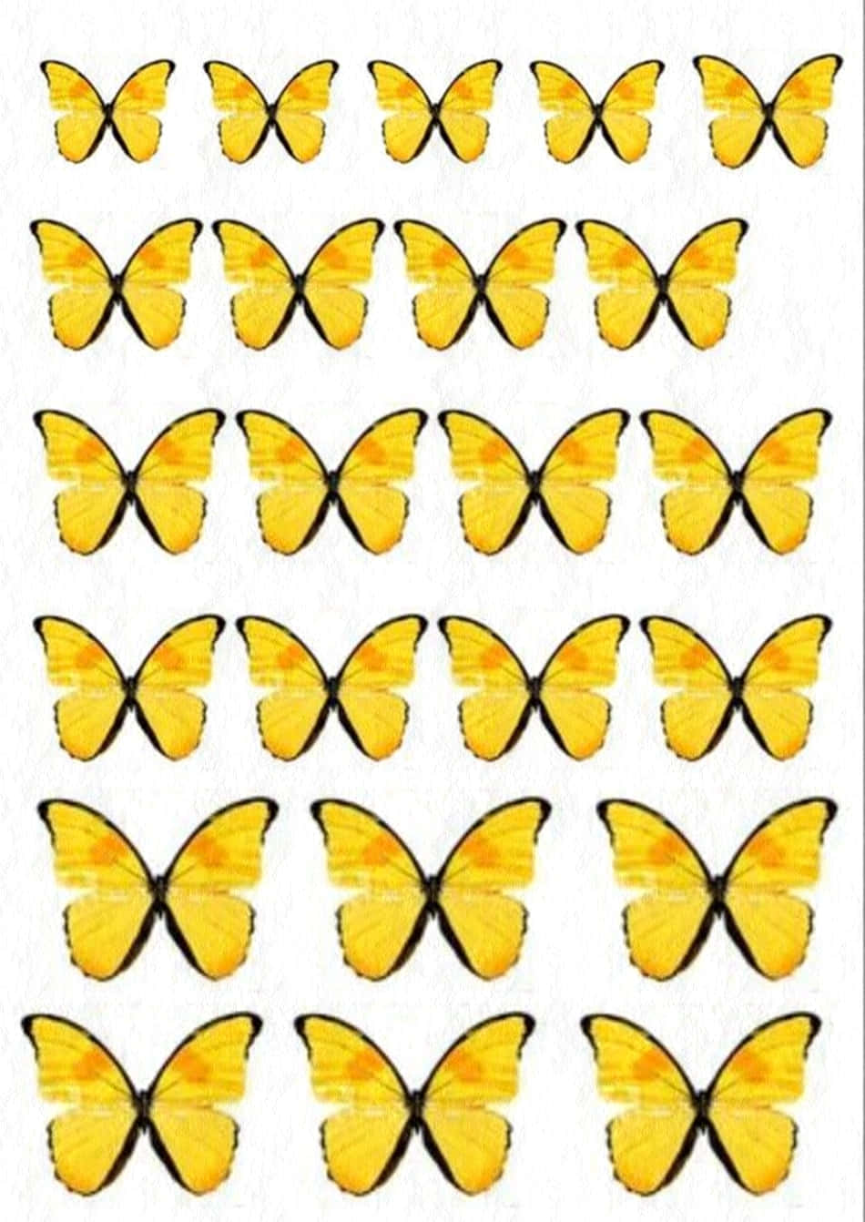 Brighten Up Your Day With Cute Yellow Butterflies Wallpaper