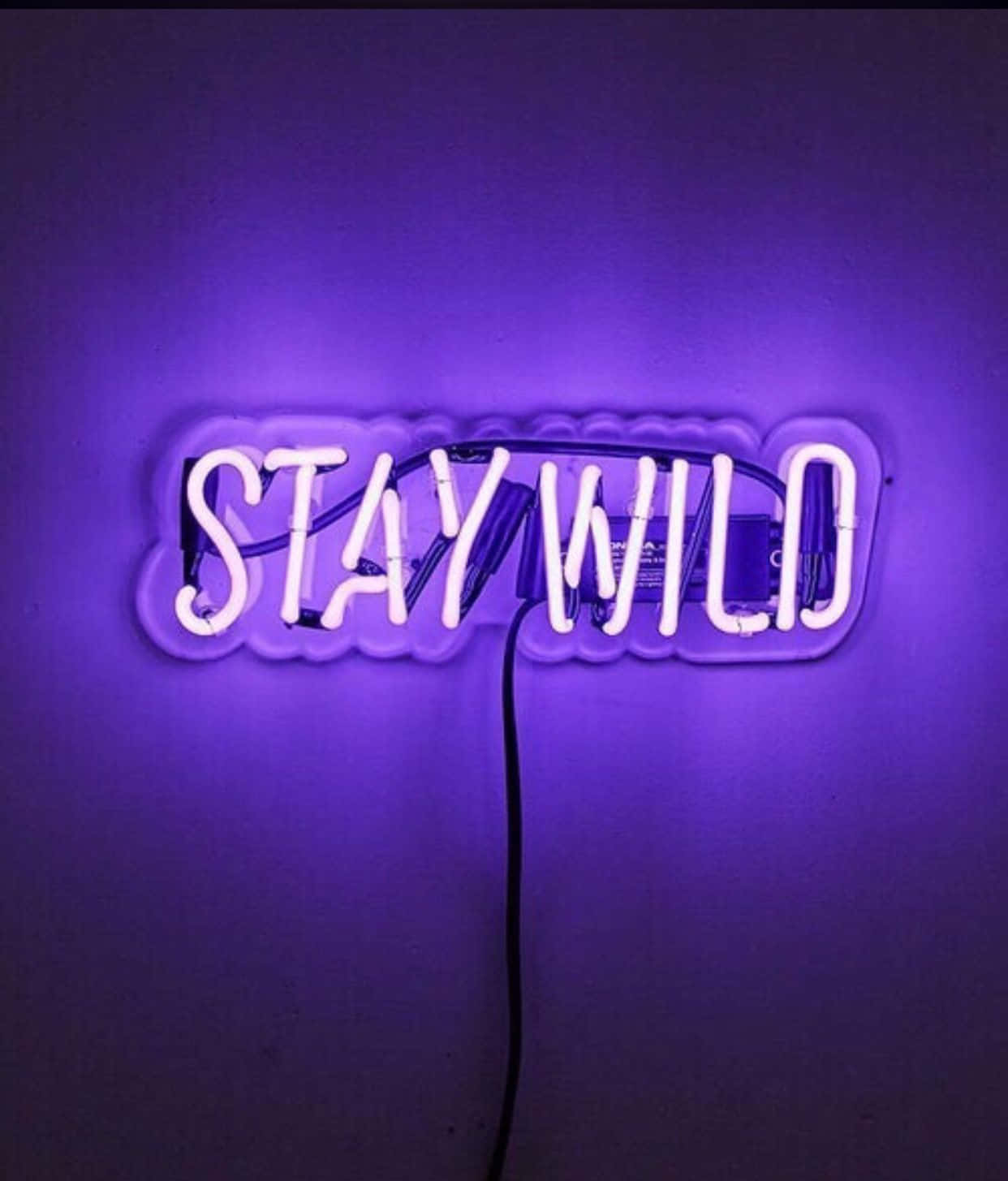 Brighten Up Your Day With Neon Lights Aesthetic Wallpaper