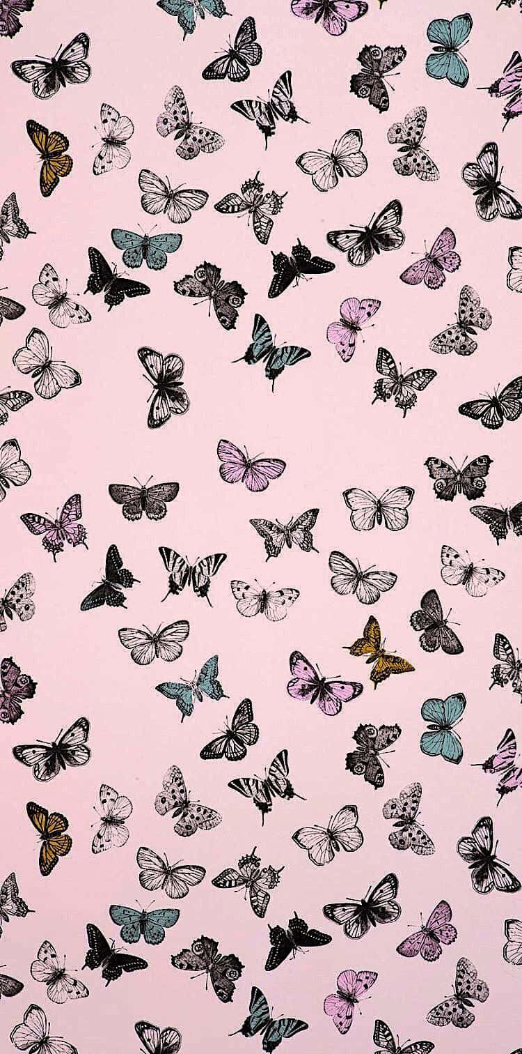 Brighten Up Your Day With This Colorful Butterfly Wallpaper