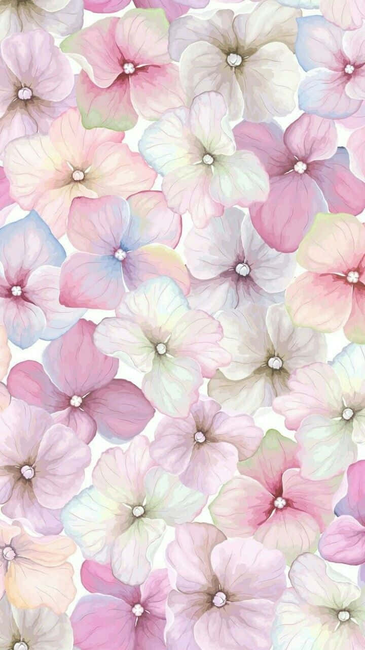 🌸 Brighten Your Day With The Colorful Blooms Of This Iphone Wallpaper Wallpaper