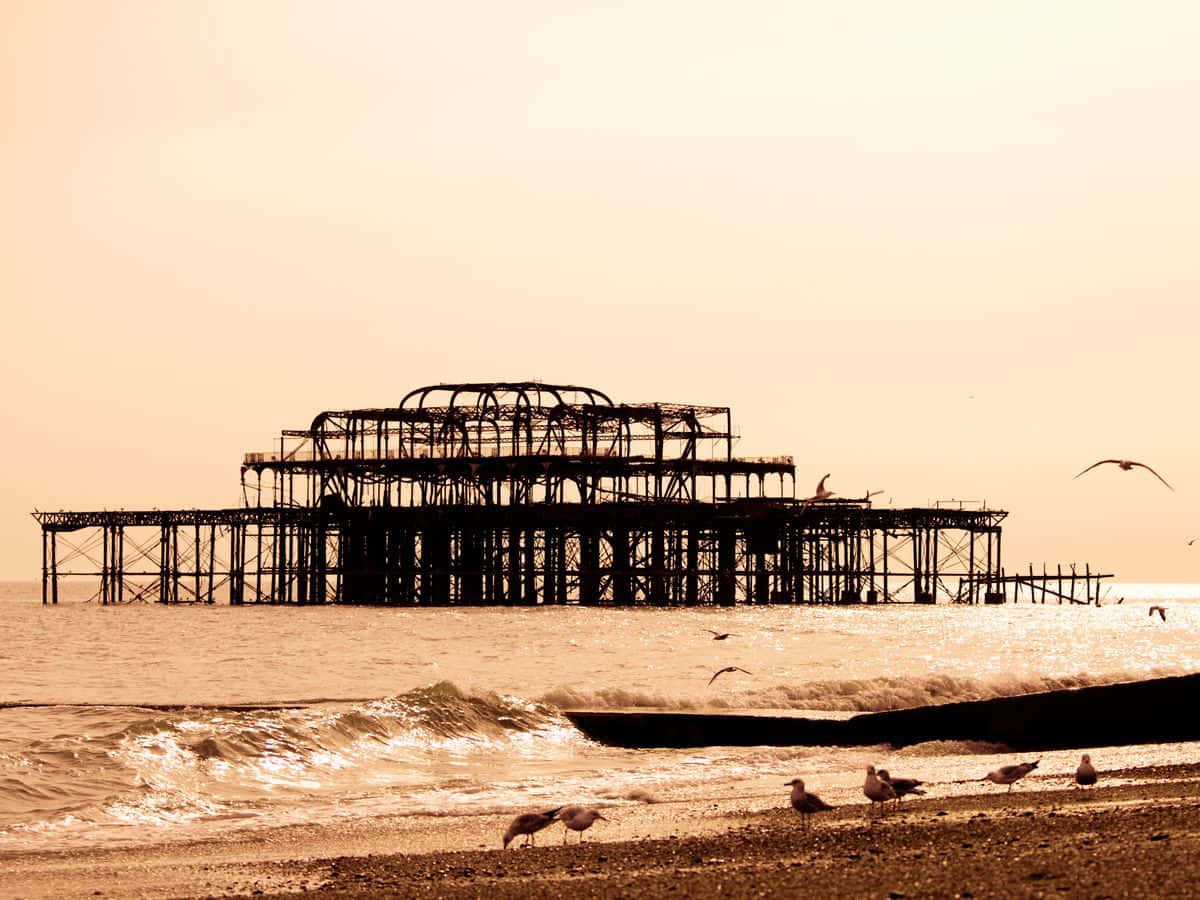 Brighton Pier Wallpaper