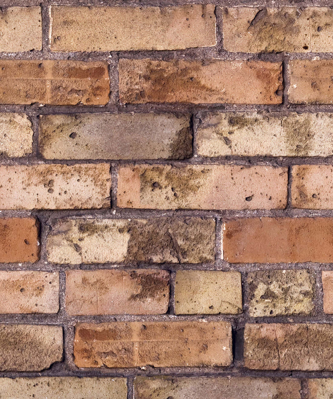 Brown Brick 1100 X 1318 Wallpaper Wallpaper