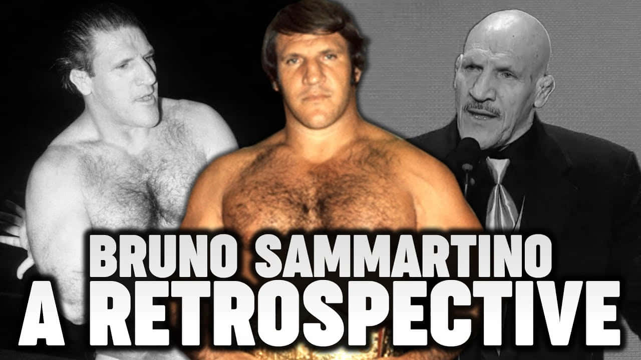 Bruno Sammartino A Retrospective Poster Wallpaper