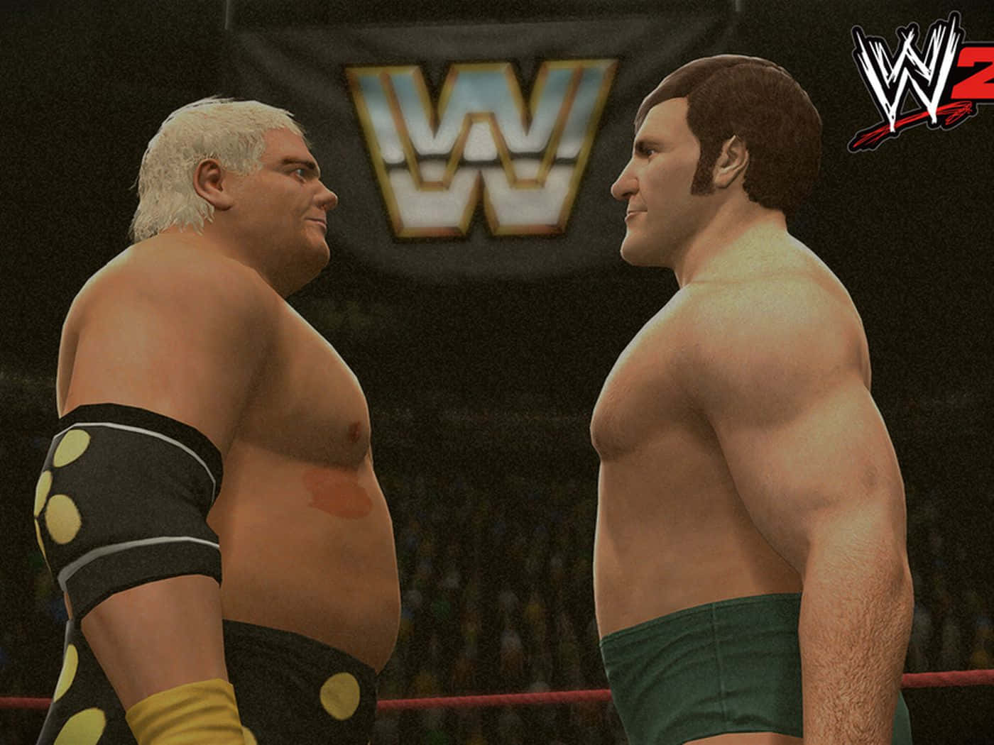 Bruno Sammartino And Dusty Rhodes Wallpaper