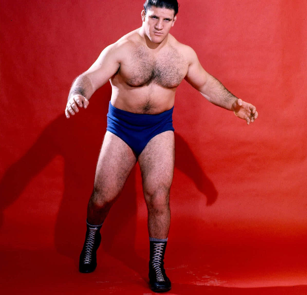 Bruno Sammartino Iconic Wrestling Superstar Wallpaper