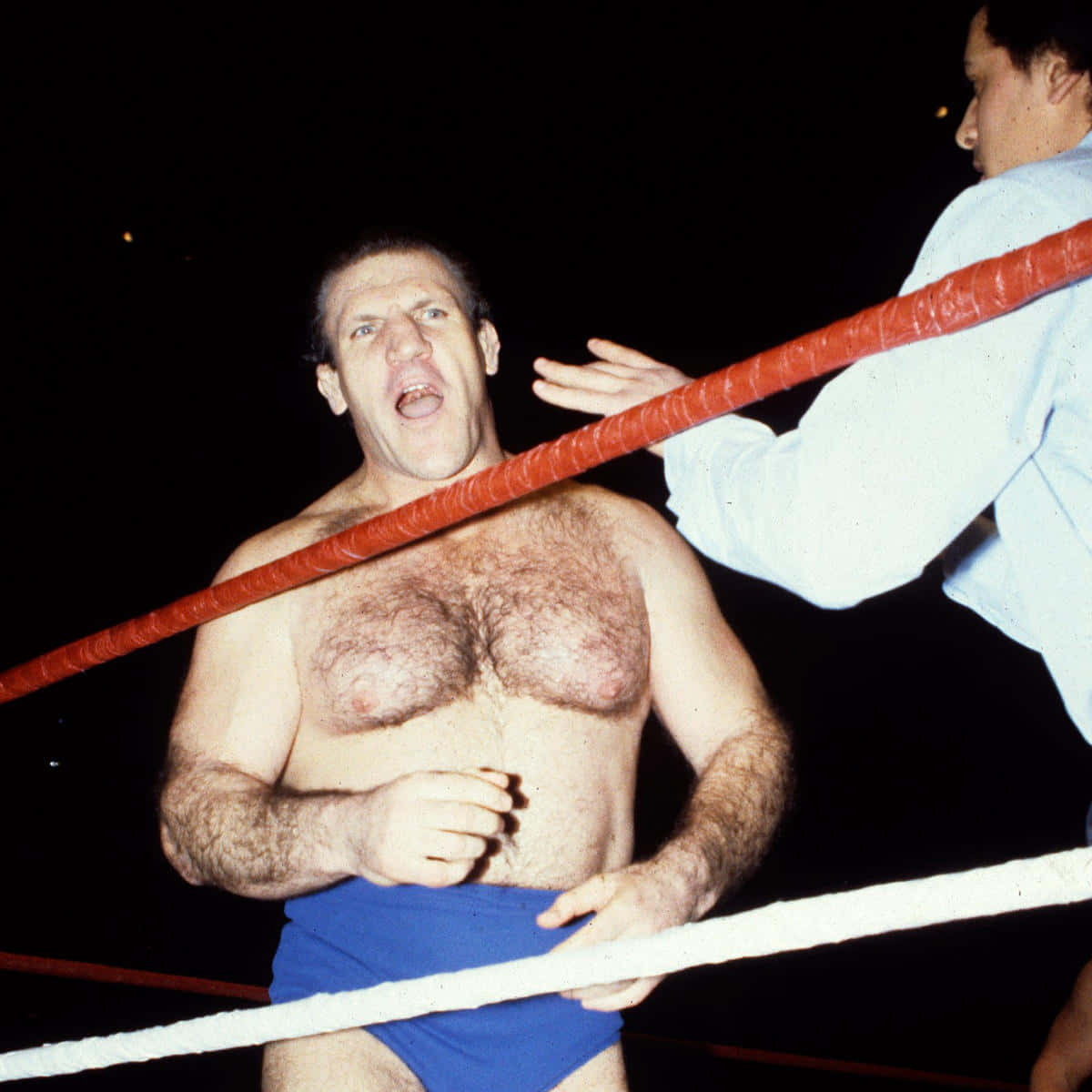 Bruno Sammartino In The Wrestling Ring Wallpaper