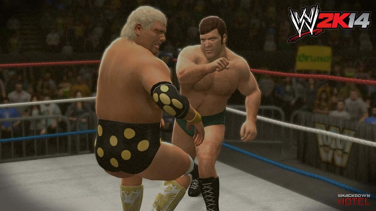 Bruno Sammartino Match With Dusty Rhodes Wallpaper