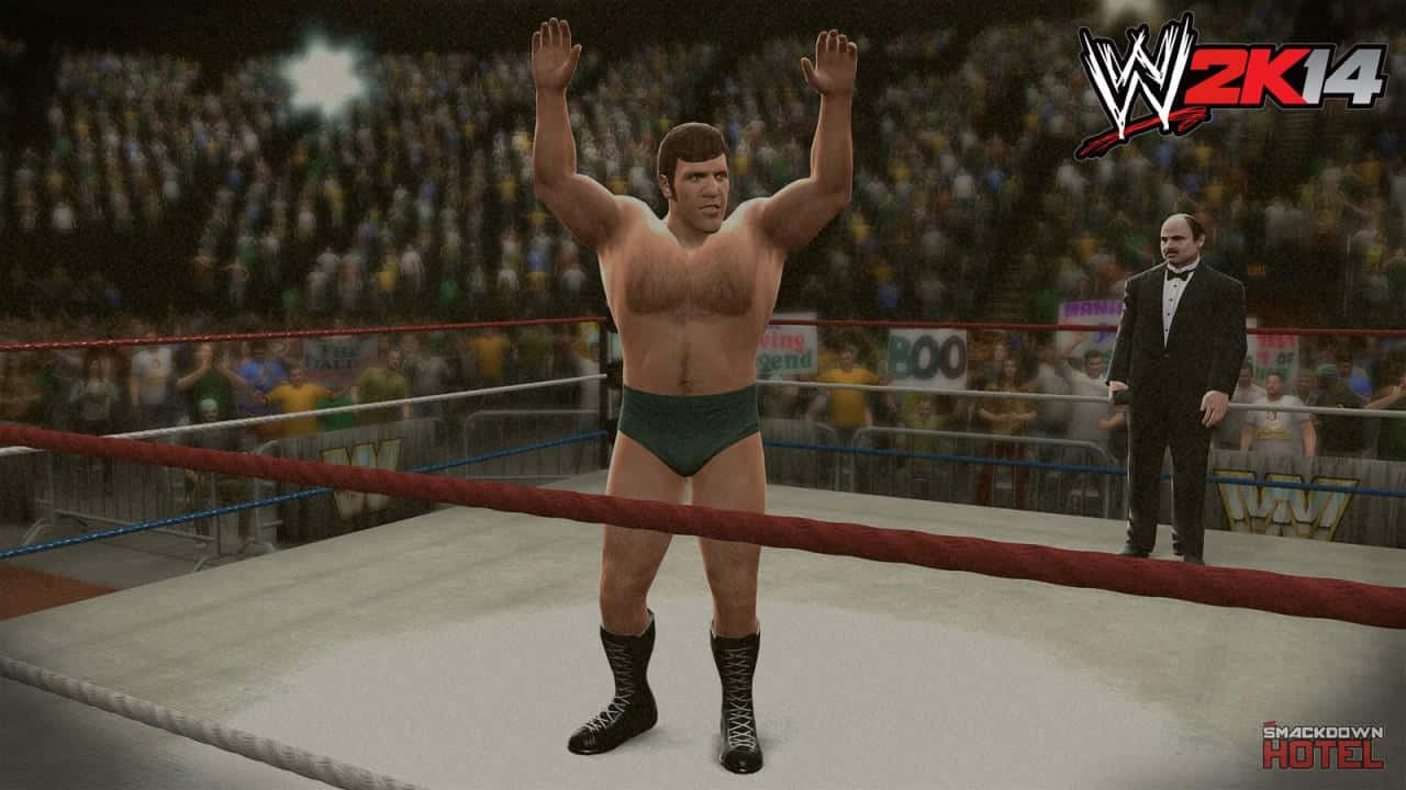 Bruno Sammartino, The Legendary Pro-wrestler In A Video Game Avatar Wallpaper