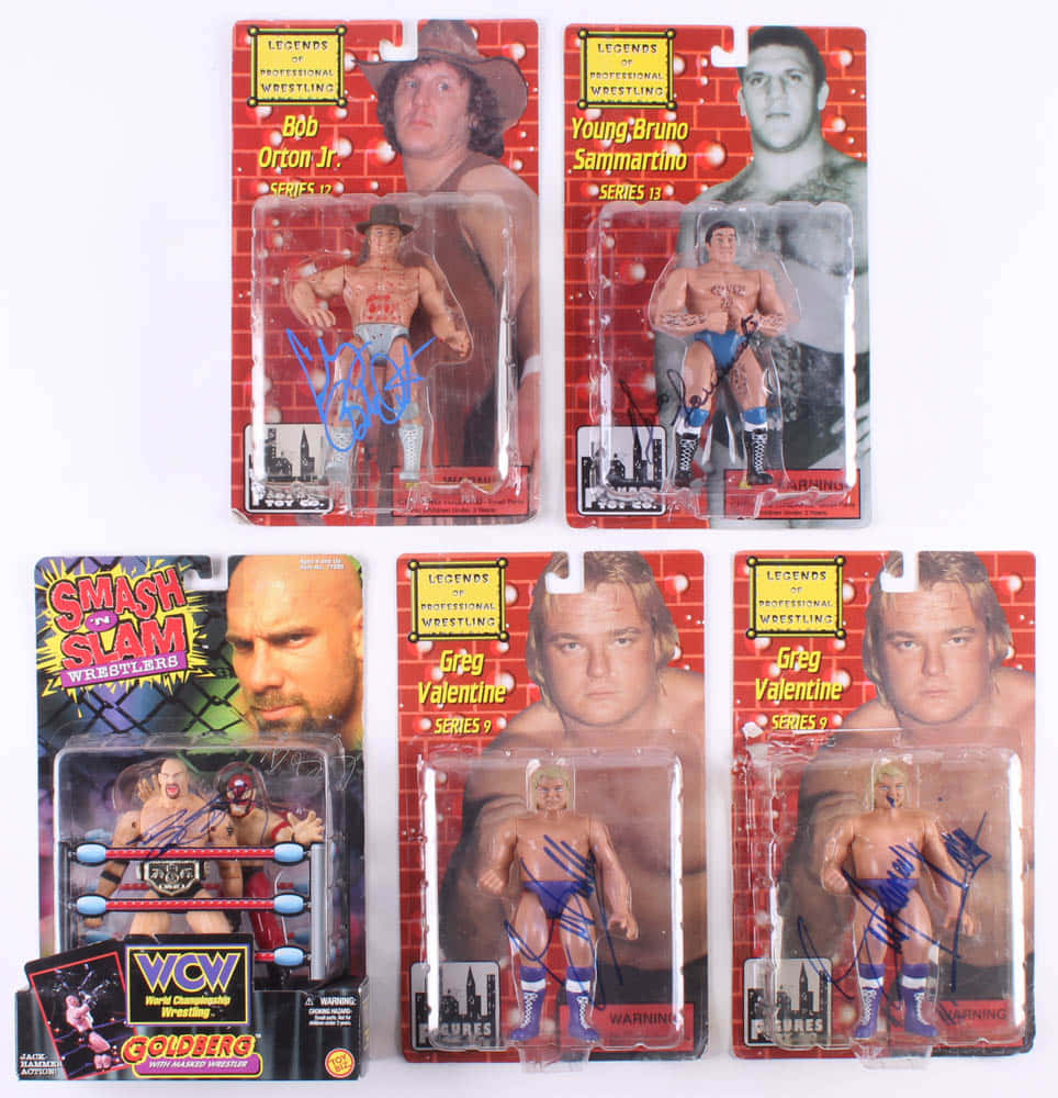 Bruno Sammartino Vintage Action Figures Wallpaper