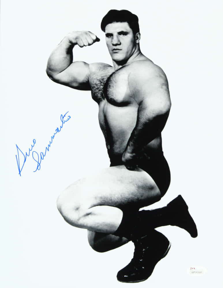 Bruno Sammartino Vintage Autographed Photograph Wallpaper