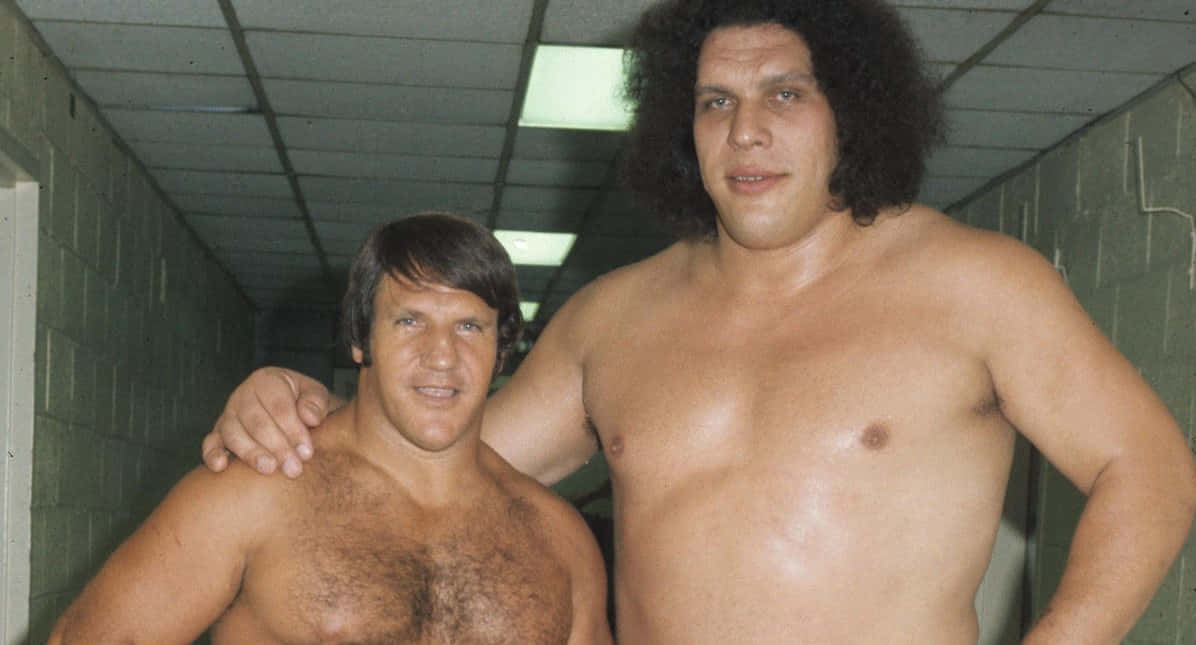 Bruno Sammartino With Andre The Giant Wallpaper