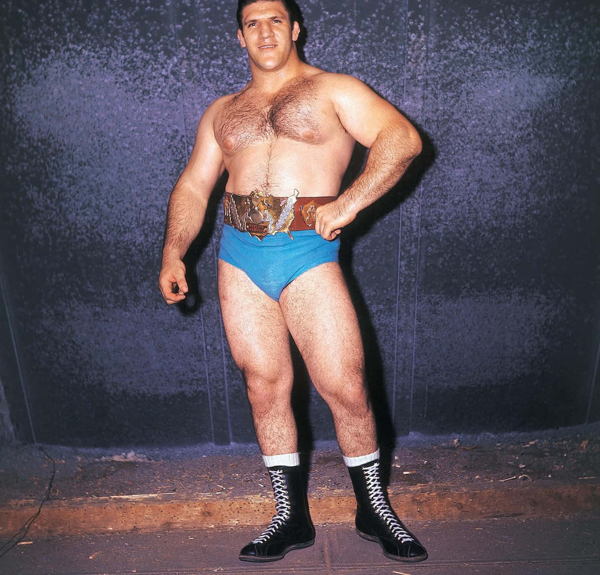 Bruno Sammartino With His Championship Belt Wallpaper