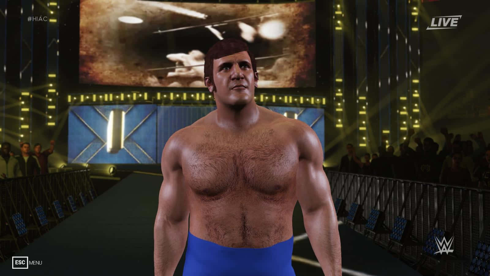 Bruno Sammartino Wwe 2k14 Video Game Wallpaper