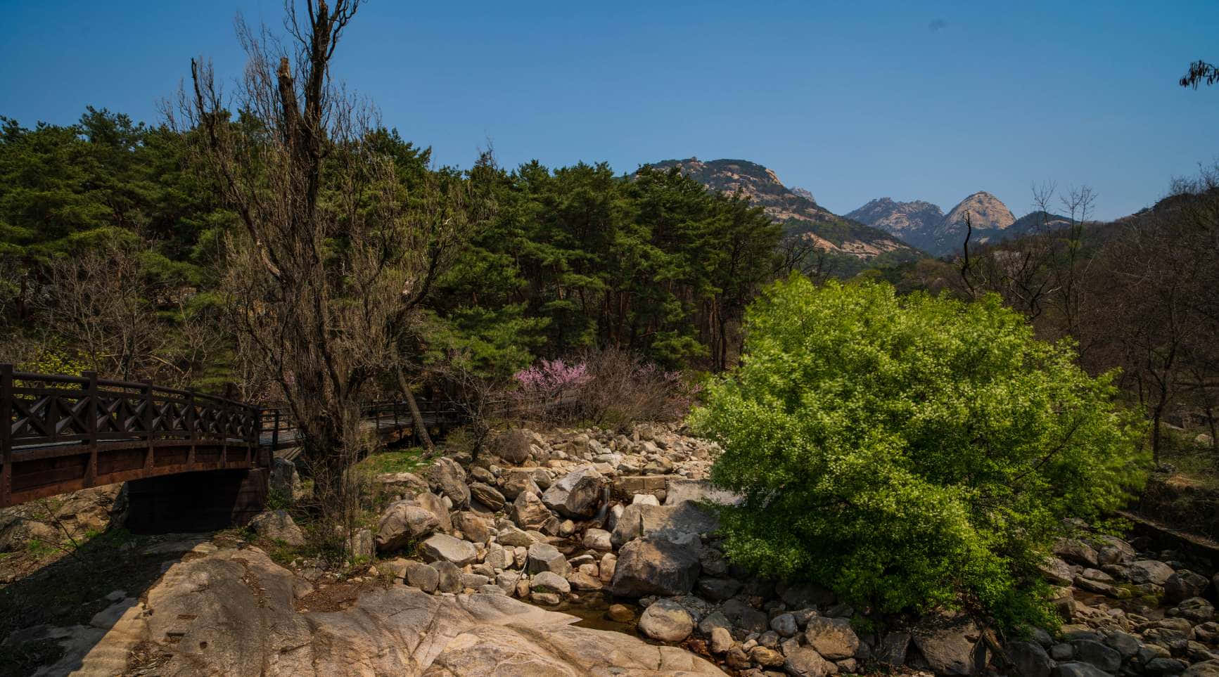 Bukhansan National Park Bridgeand Stream Wallpaper