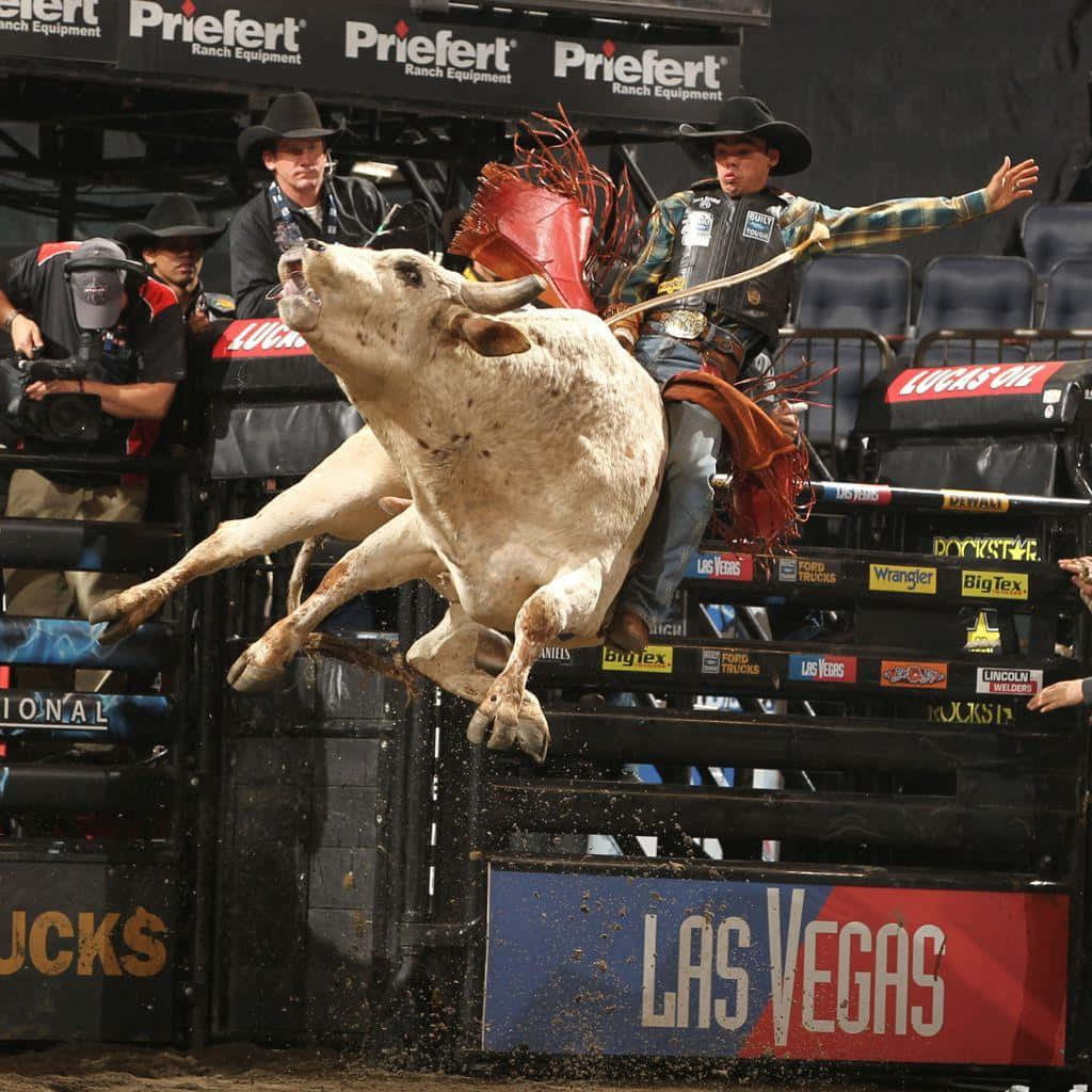 Bull Riding Actionat P B R Event.jpg Wallpaper