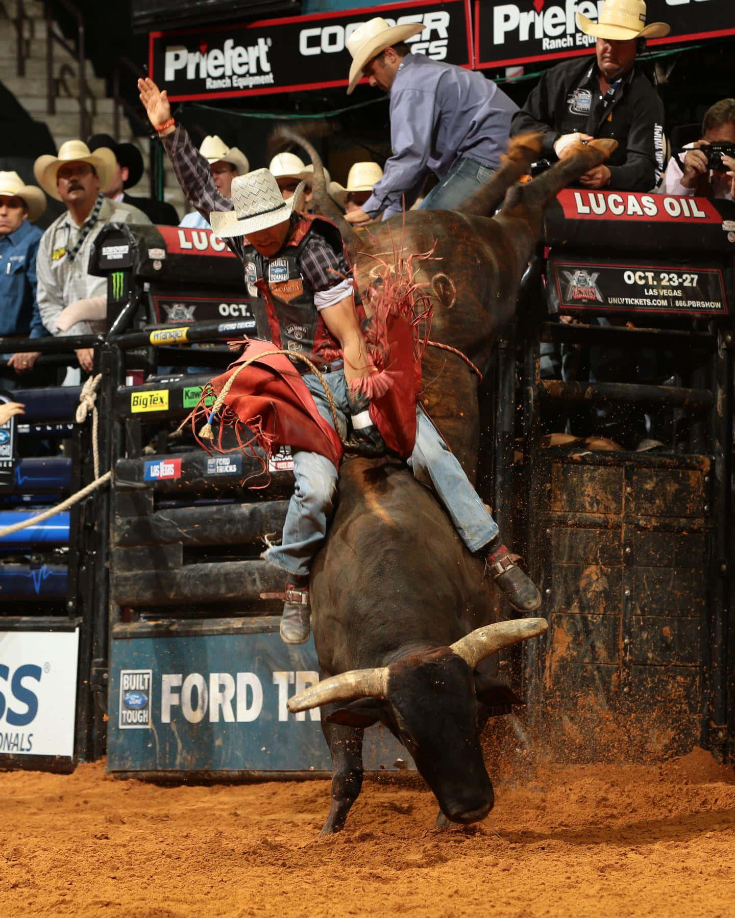 Bull Riding Actionat Rodeo Wallpaper