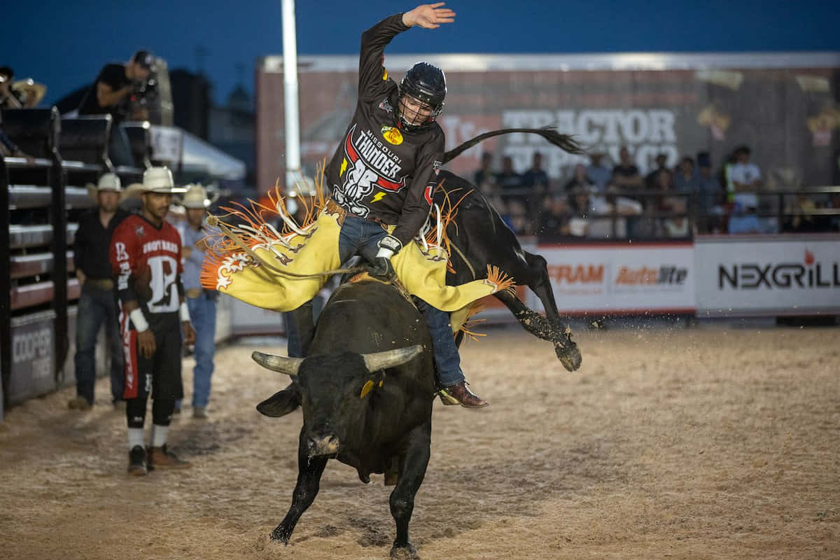 Bull Riding Actionat Rodeo Wallpaper