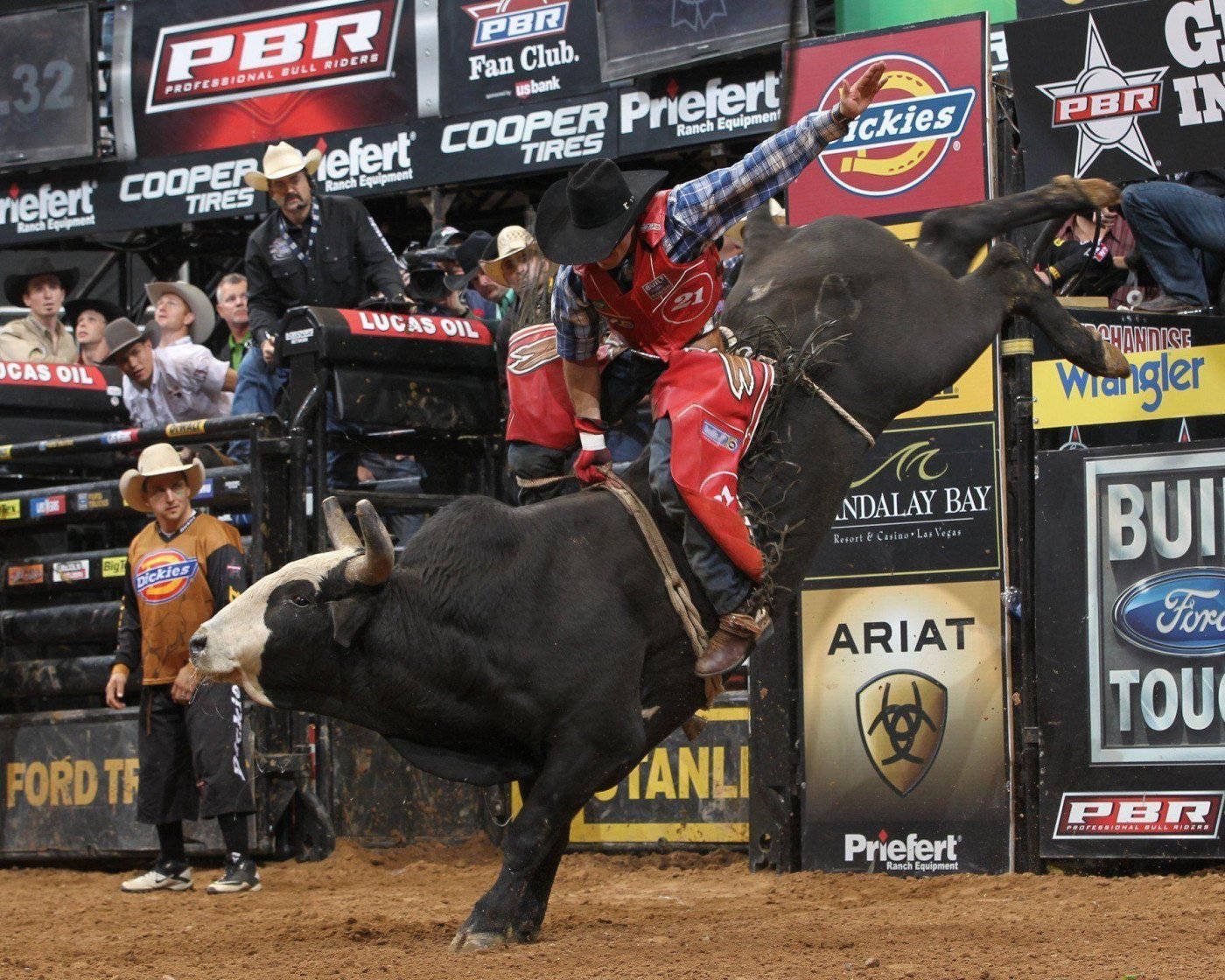 Bull Riding Hd Desktop Wallpaper