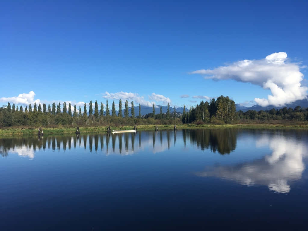 Burnaby Lake Serenity Reflection Wallpaper