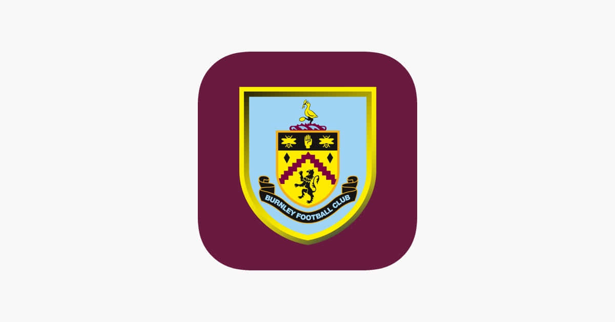 Burnley Fc: Passion And Pride In Action Wallpaper