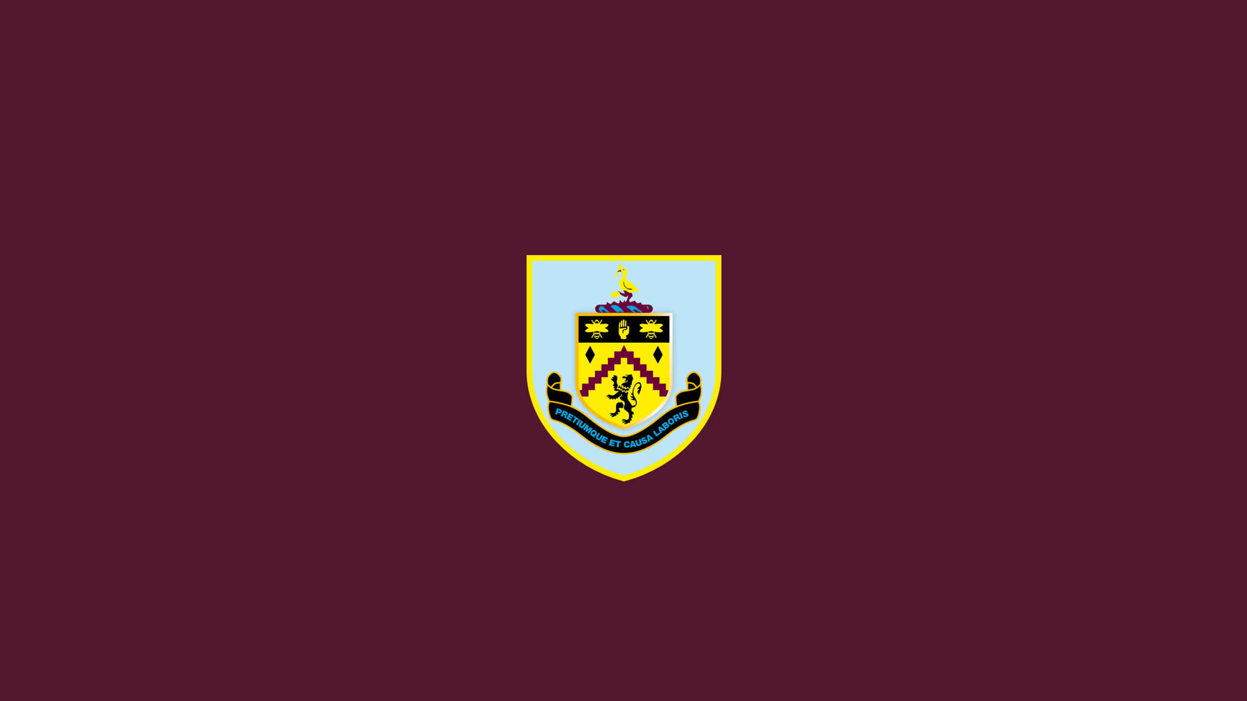 Burnley Fc Players Celebrating At Turf Moor Stadium Wallpaper