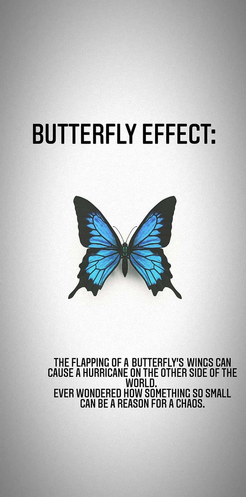 Butterfly Effect Concept Wallpaper