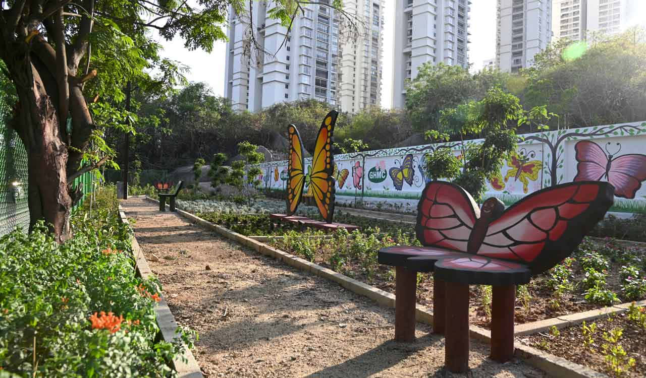 Butterfly Park Benchesand Murals Wallpaper