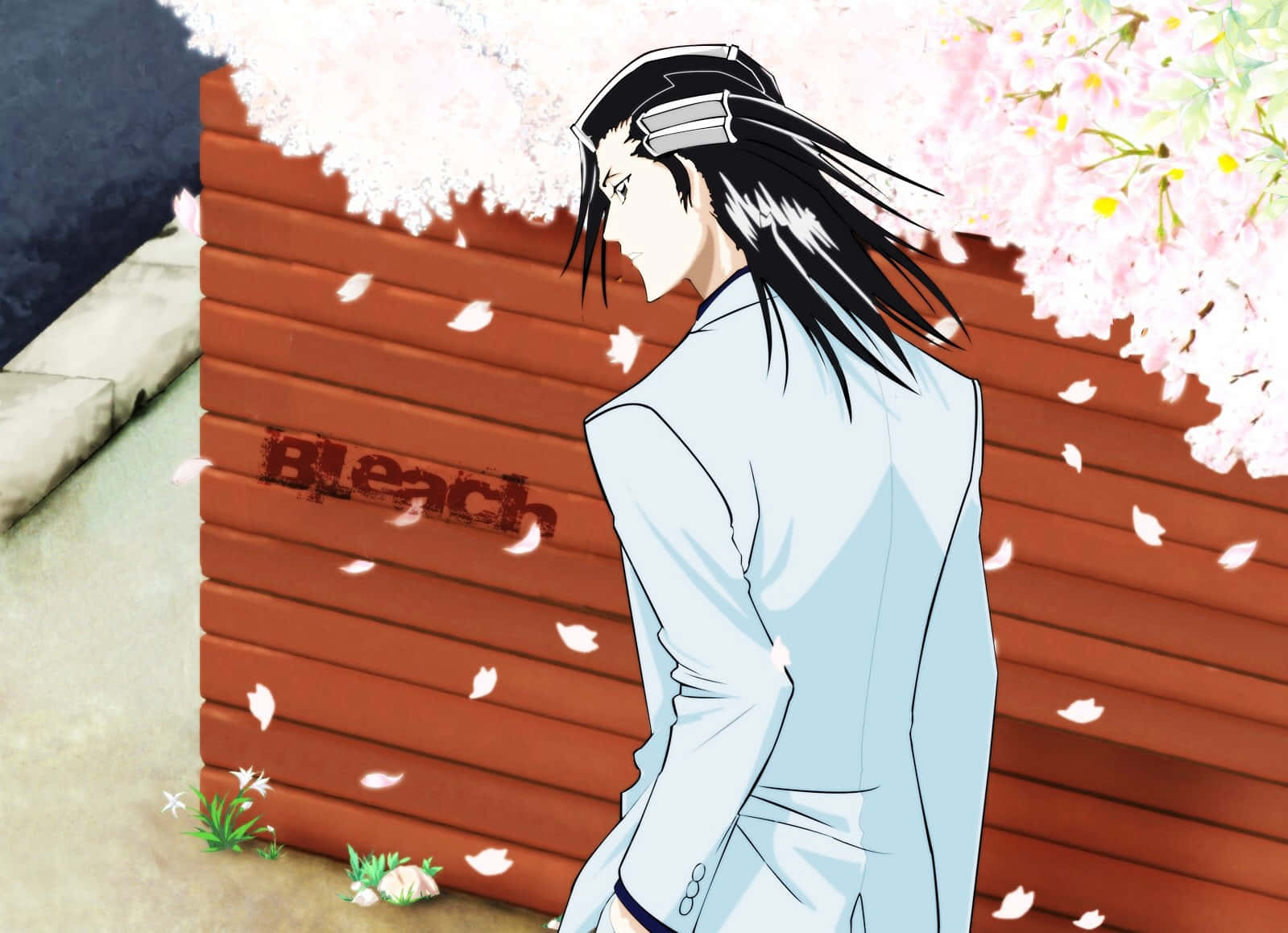 Byakuya Kuchiki - The Resilient Soul In The Bleach Universe Wallpaper