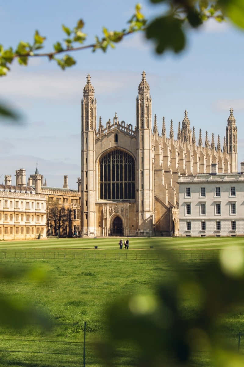 Cambridge University With Leaves Portrait Wallpaper