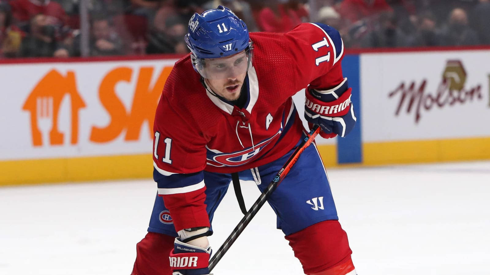 Canadian Professional Brendan Gallagher Wallpaper