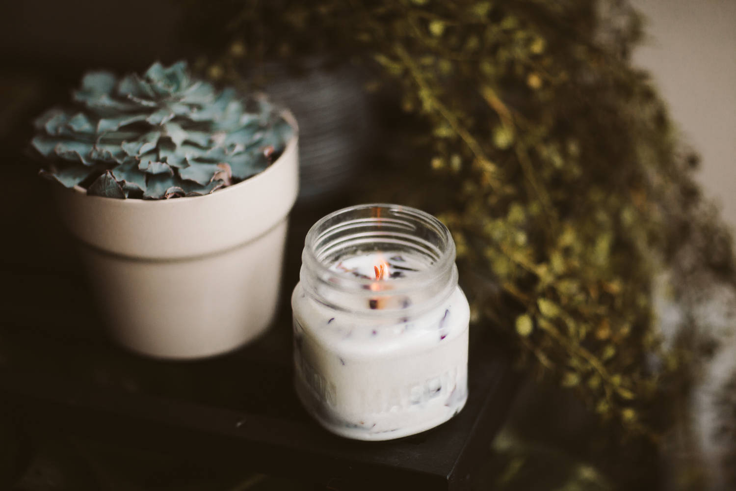 Candle Next To Plant Pinterest Laptop Wallpaper