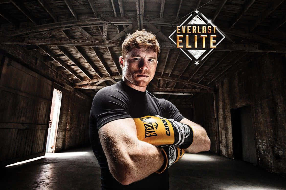 Canelo Alvarez, World Champion Boxer Wallpaper