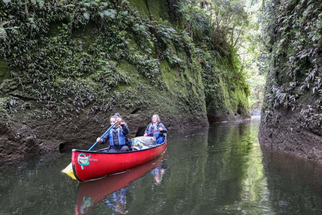 Canoeingin Whanganui River Gorge New Zealand Wallpaper