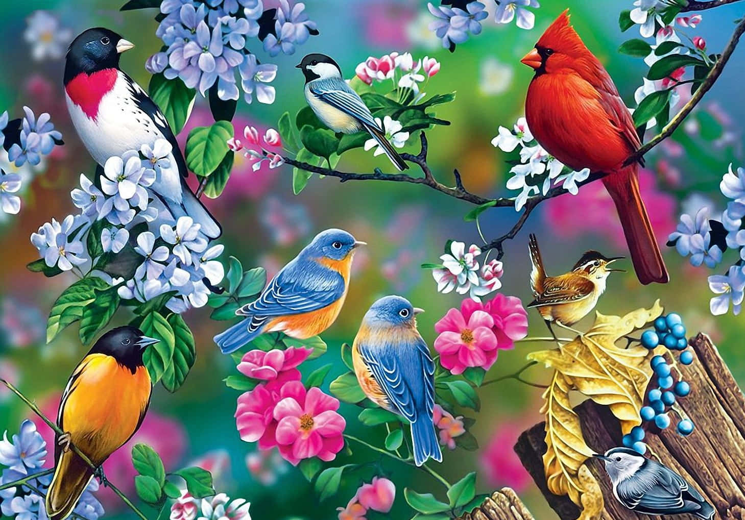 Caption: A Beautiful Spring Morning With Vibrant Birds Wallpaper