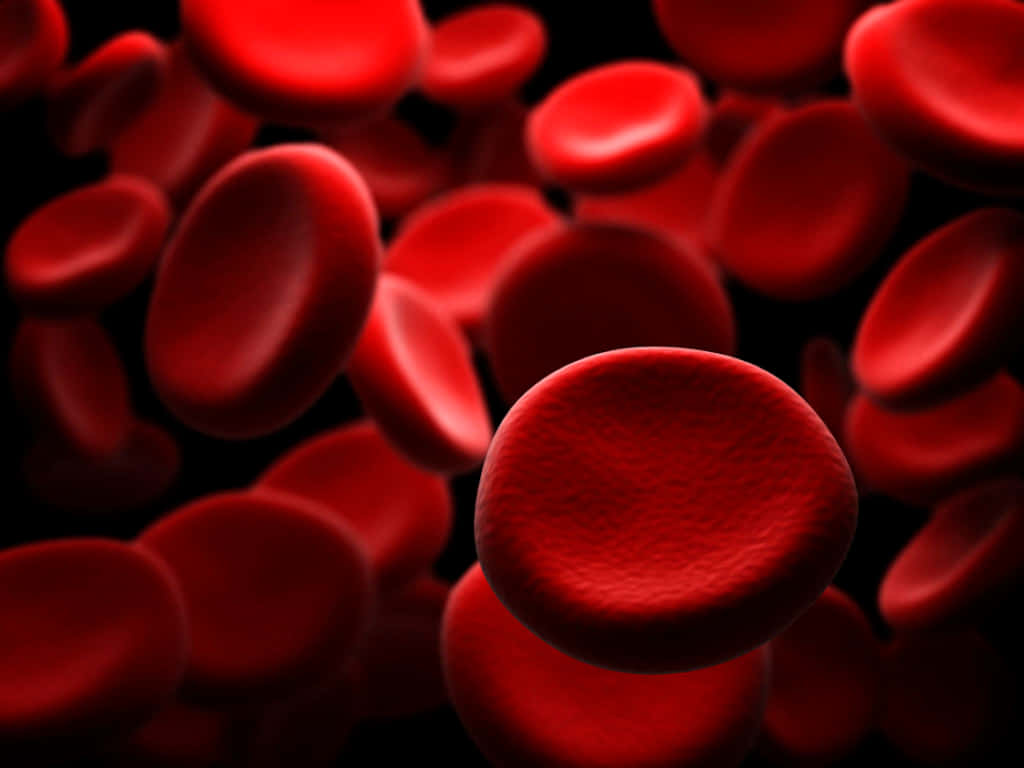 Caption: A Close-up View Of Human Red Blood Cells In Motion Wallpaper