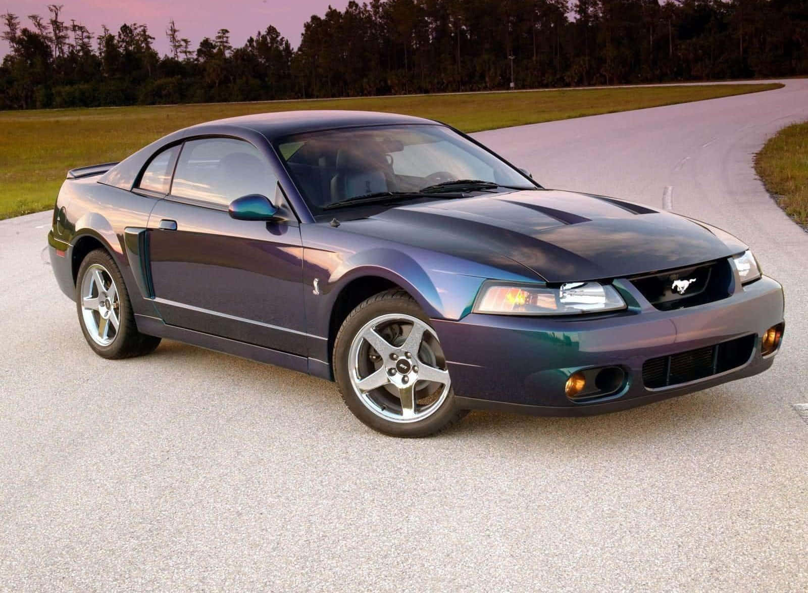 Caption: A Majestic Ford Mustang Svt Cobra Basking In The Sunshine Wallpaper