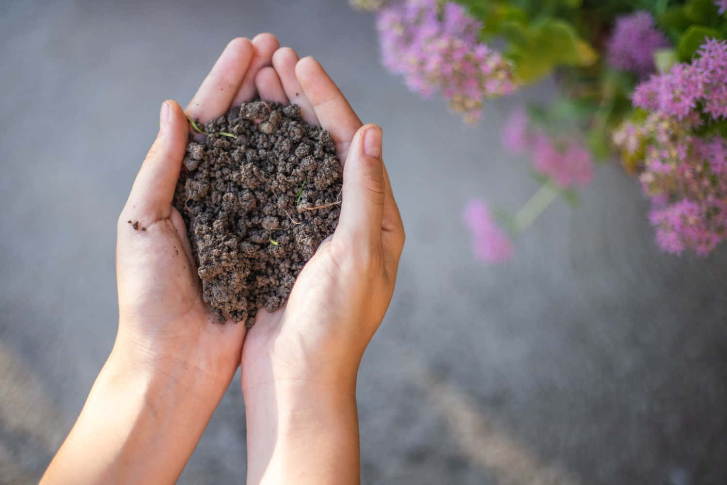 Caption: A Thriving Compost Pile Filled With Organic Matter In A Lush Green Background. Wallpaper