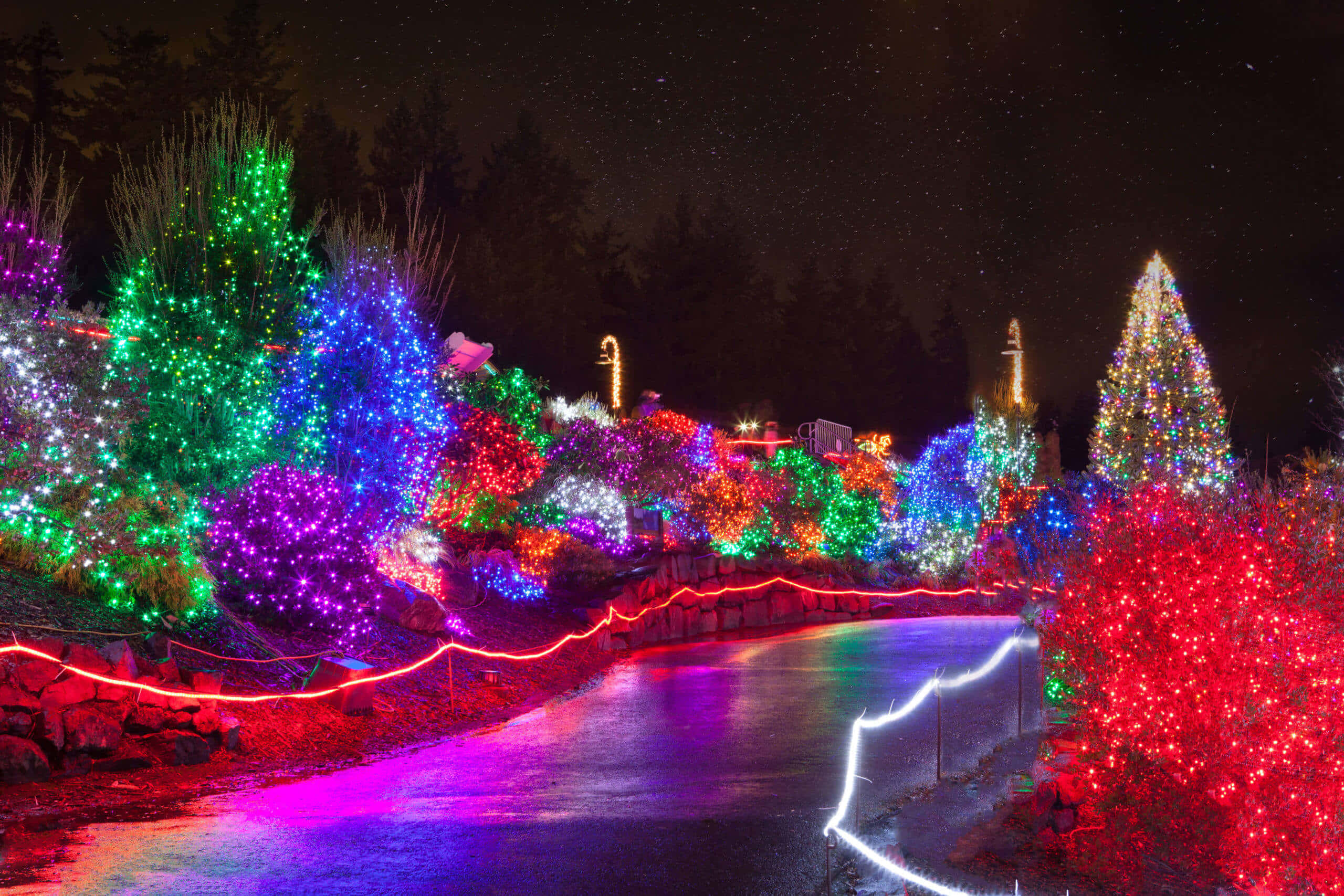 Caption: Christmas Rainbow Over Snow-covered Landscape Wallpaper