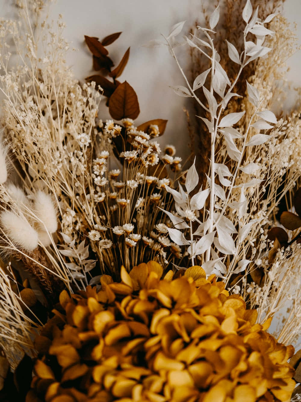 Caption: Elegant Arrangement Of Colorful Dried Flowers Wallpaper