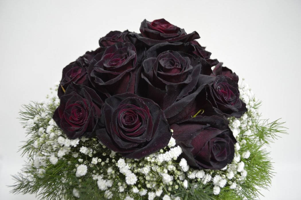 Caption: Elegant Bouquet Of Black Roses Wallpaper