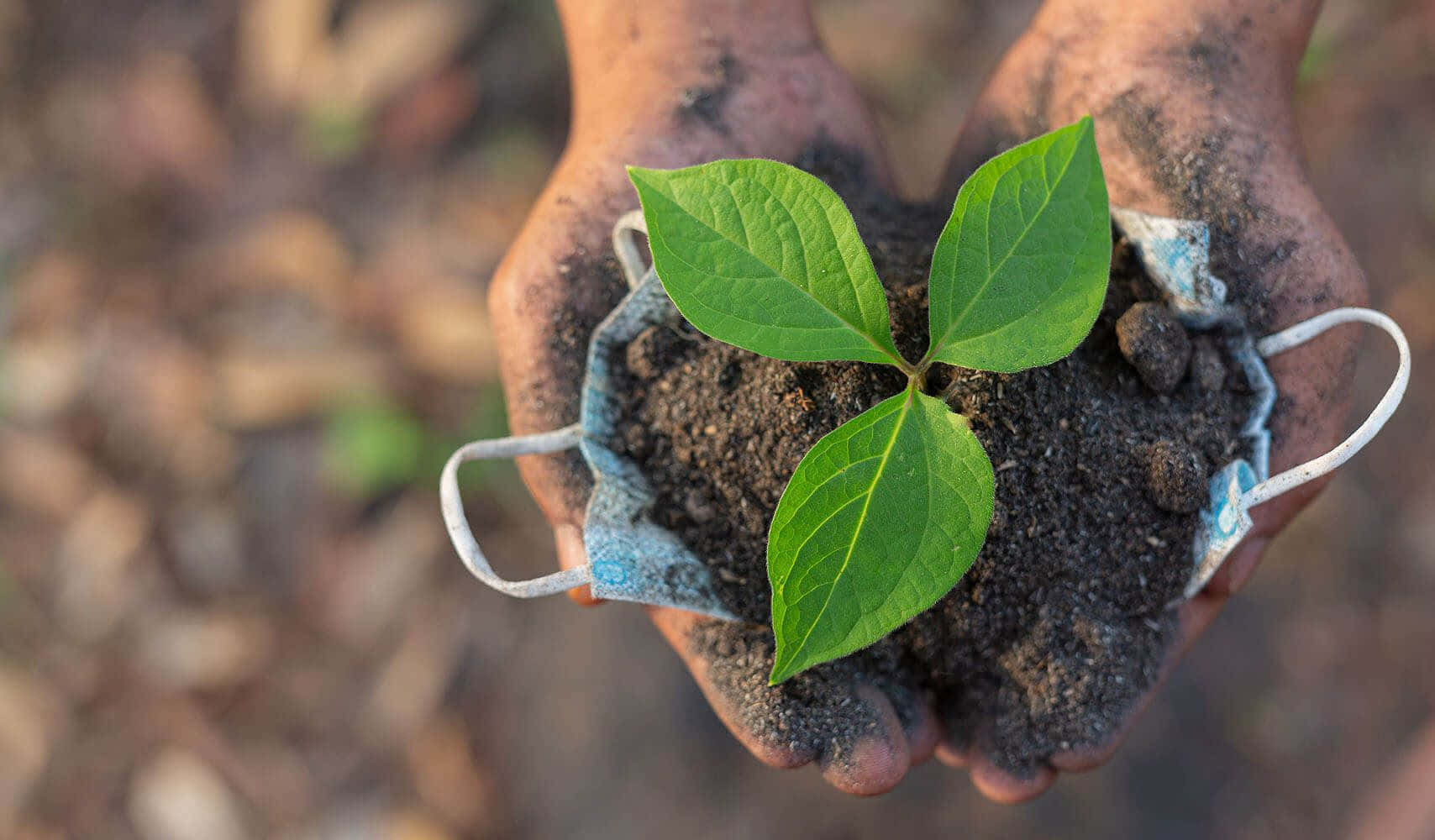 Caption: Enriching Garden Compost Wallpaper