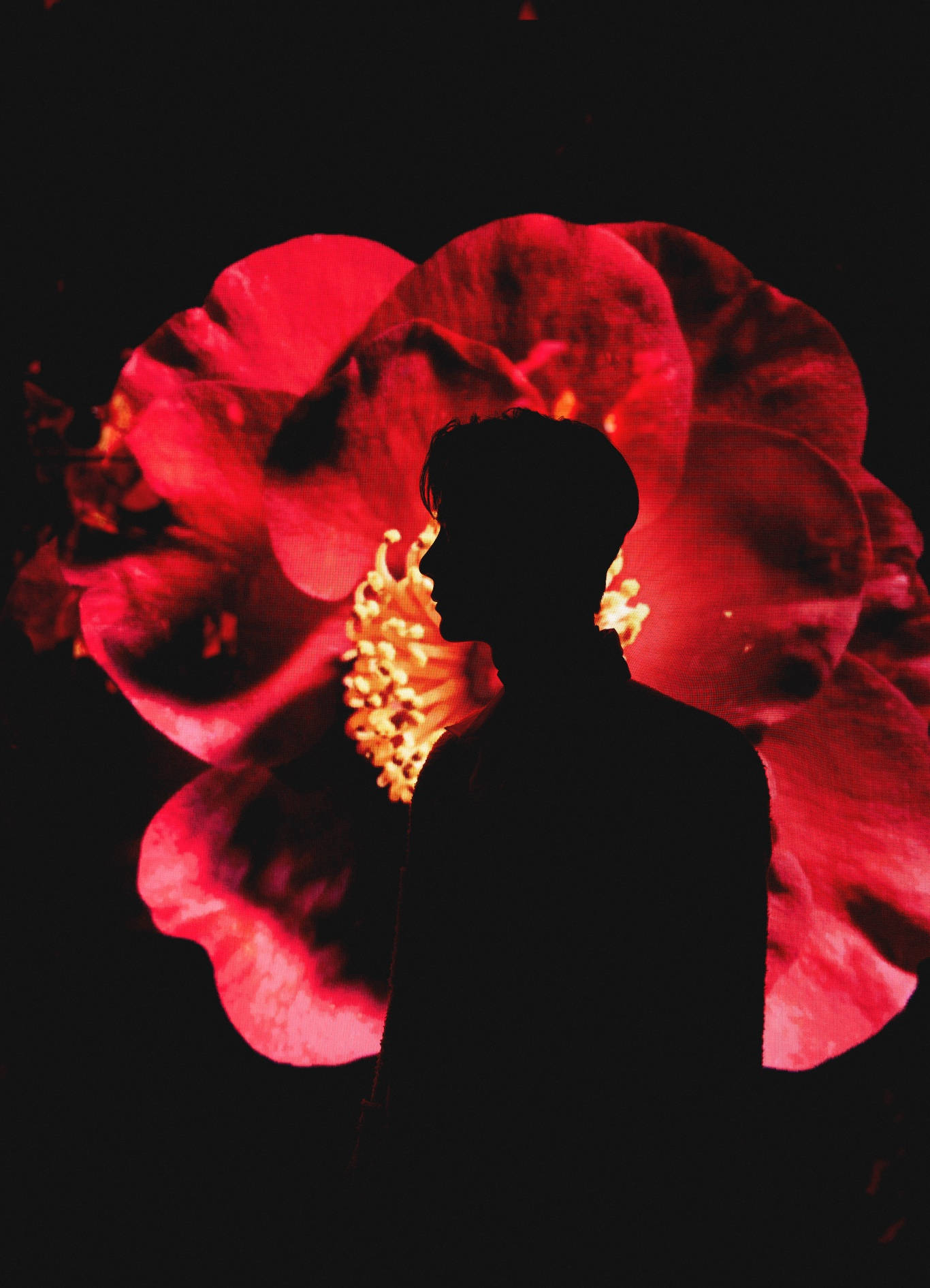 Caption: Graceful Silhouette Of Wang Yibo With Colorful Flowers Wallpaper