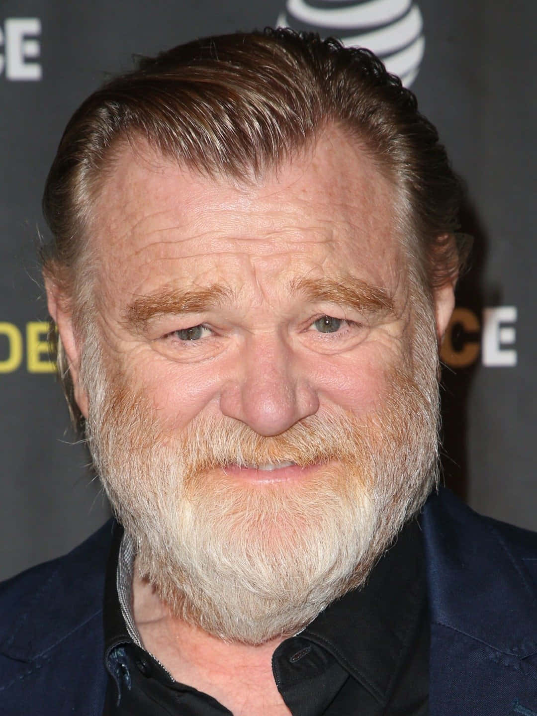 Caption: Hollywood Actor Brendan Gleeson Posing At An Event. Wallpaper