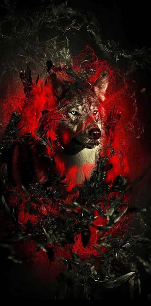 Caption: Majestic Red Wolf In The Wilderness Wallpaper