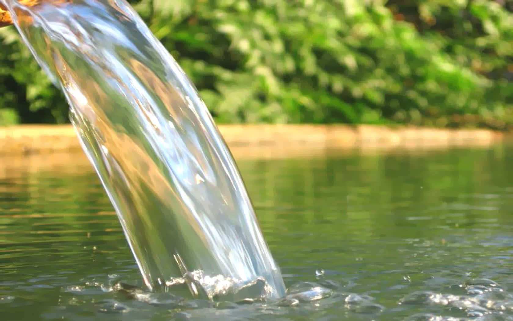 Caption: Natural Spring Water Flowing In The Forest Wallpaper