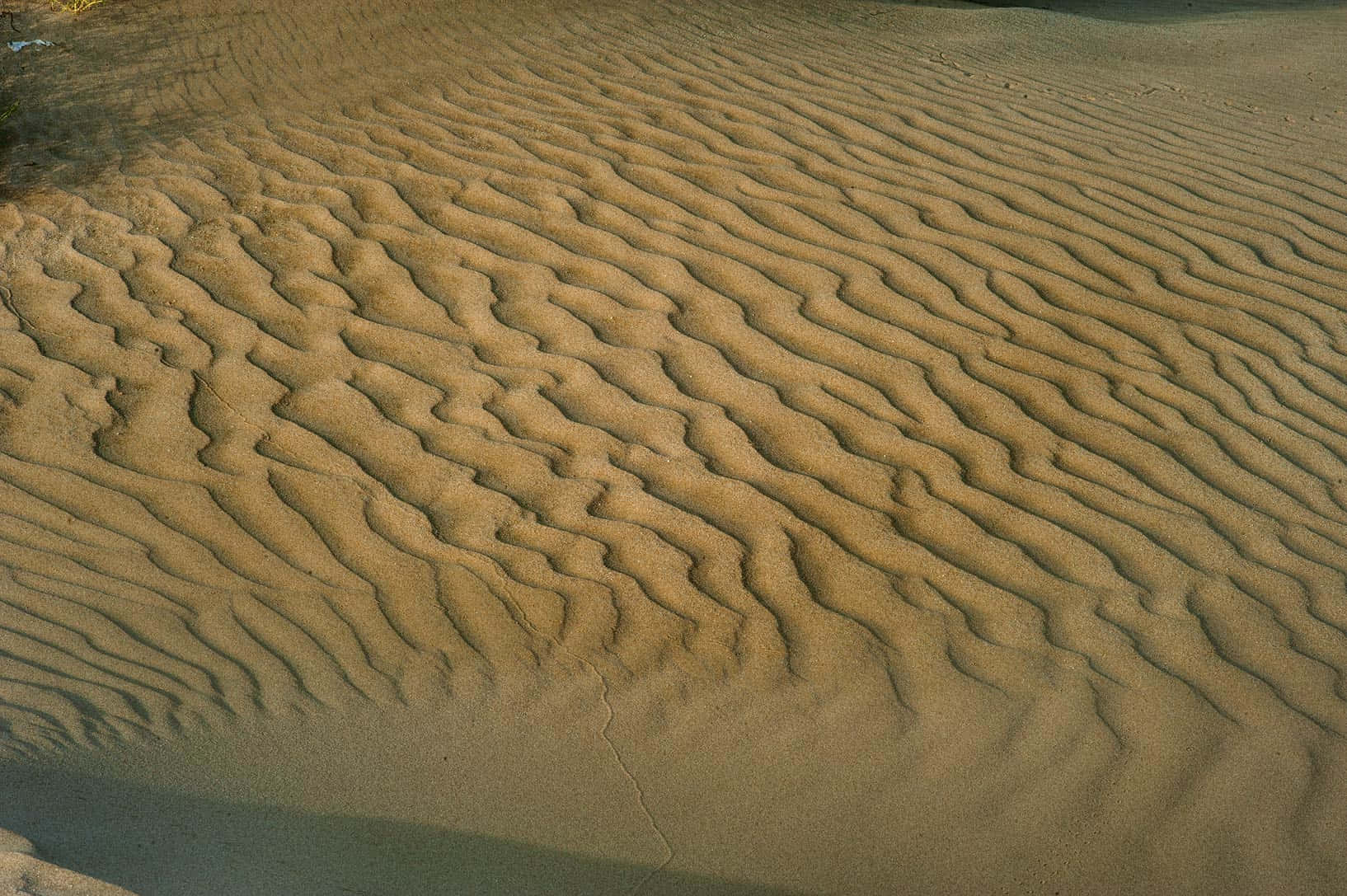 Caption: Refreshing Beach Sand Close-up Wallpaper