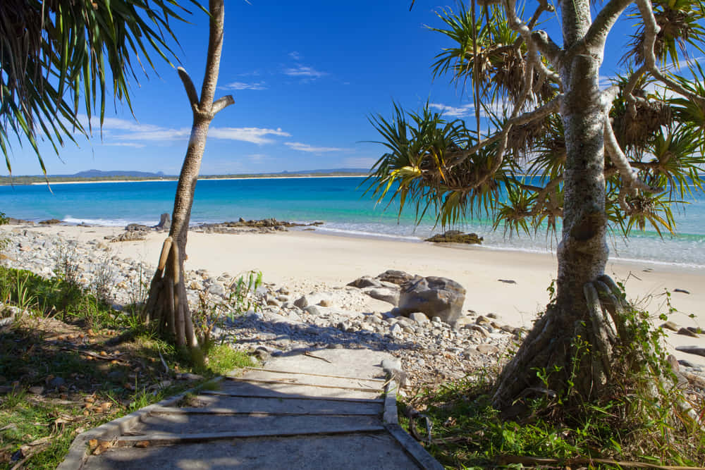 Caption: Refreshing Sunrise At Mooloolaba Beach, Sunshine Coast Wallpaper