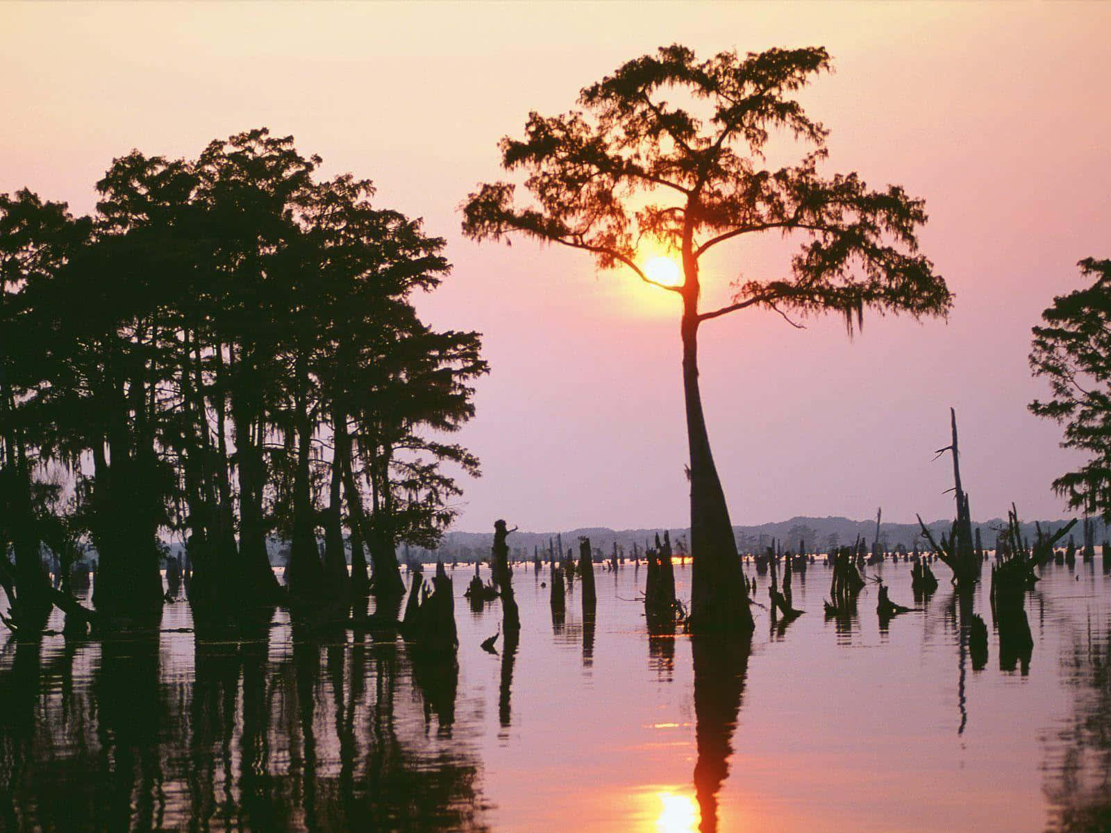 Caption: Scenic Sunset Over Baton Rouge Downtown Wallpaper