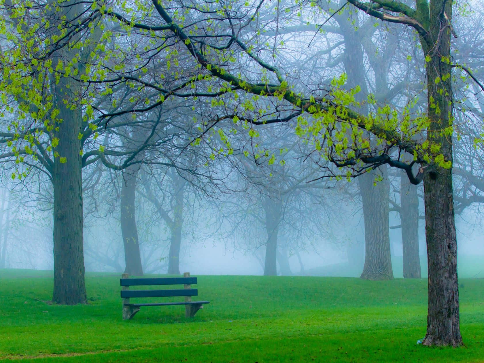 Caption: Serene Spring Park Wallpaper